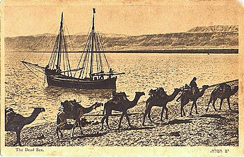 Camels and boat on the shore of the Dead Sea