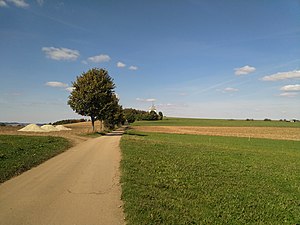 Pilzhuebel Sept 2018 a.jpg