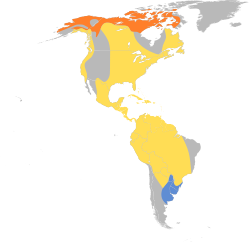 Pluvialis dominica map.svg