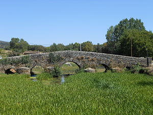 Frieira Bridge built in the 13th century.