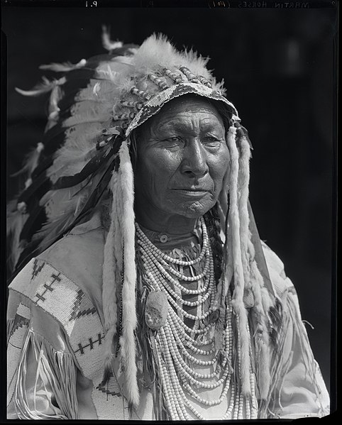 File:Portrait of Martin Horses of the Kainai Nation (22804541440).jpg