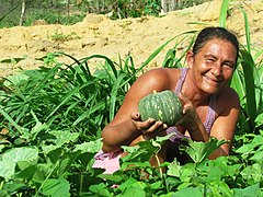 Produção Agroecológica