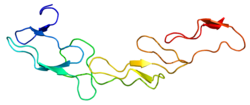 Ақуыз CD40 PDB 1CDF.png