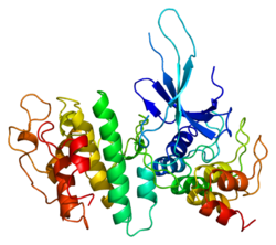 Ақуыз CDK6 PDB 1bi7.png