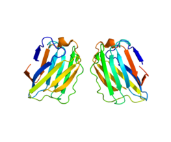 Ақуыз HSPC159 PDB 2JJ6.png