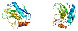 Ақуыз MMP12 PDB 1jiz.png