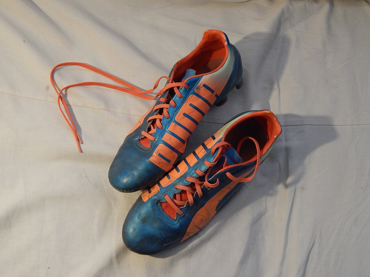 puma evospeed wiki