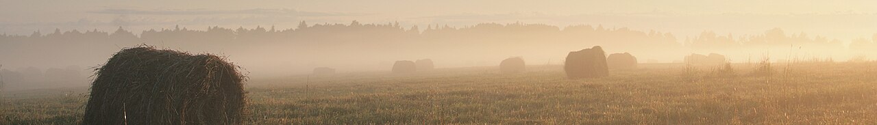 Puslichevo Yaroslavl Oblast banner.jpg