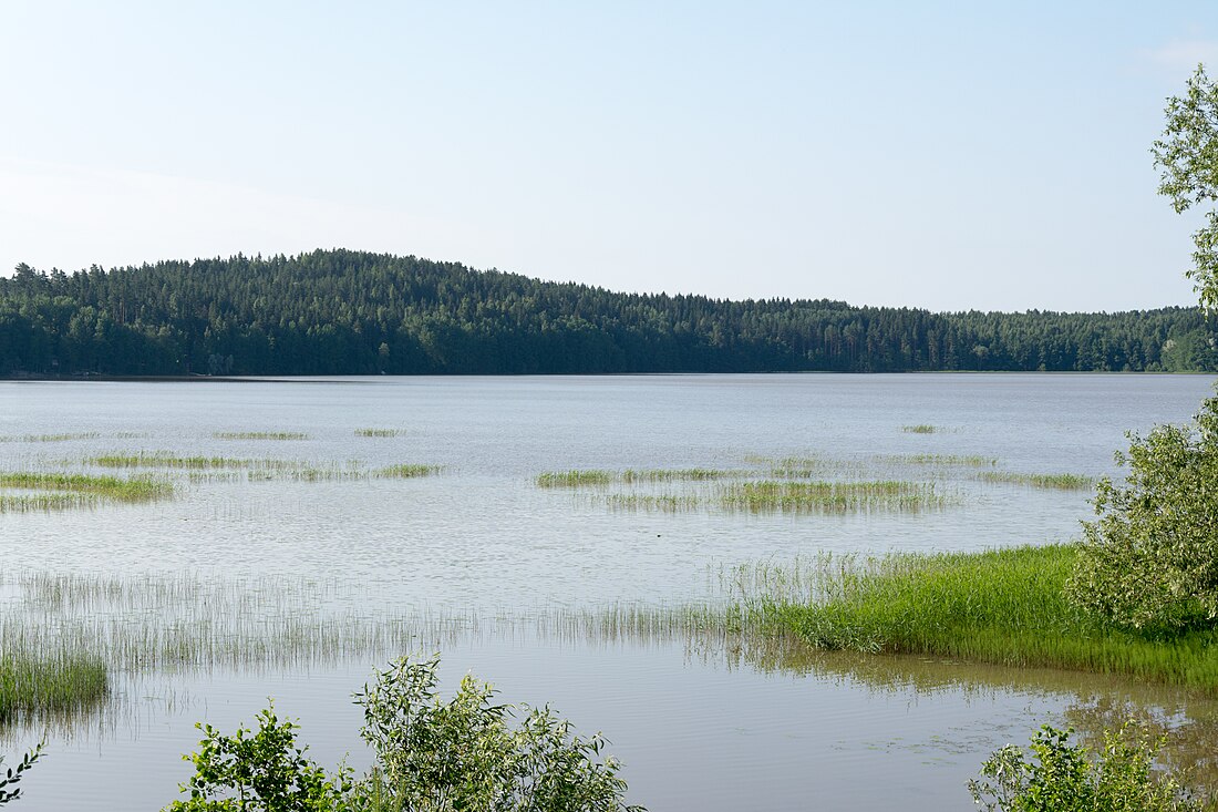 Pyhäjärvi, Artsjö