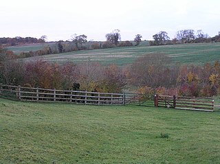 <span class="mw-page-title-main">Queen's Oak</span> Tree in Northamptonshire, England