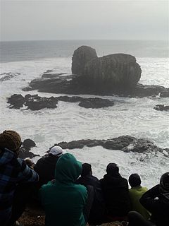 Punta de Lobos Town in OHiggins, Chile