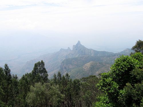 Rangasamy Pillar, Shola Forests-Western Ghats, Kotagiri, Tamilnadu, India