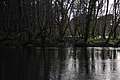 Río Ladra: Toponimia, Curso, Galería de imaxes