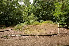 Pozůstatky mohyly z doby bronzové na Netley Common - geograph.org.uk - 1402784.jpg