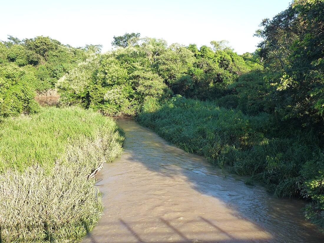 Ribeirão Piraí