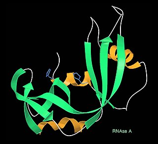 <span class="mw-page-title-main">Kinemage</span>