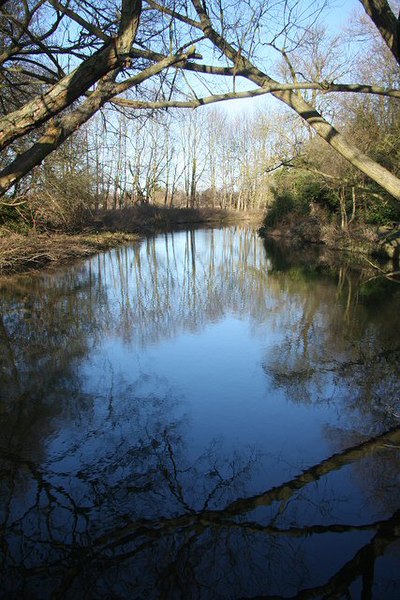 File:River Cam below Byron's Pool weir - geograph.org.uk - 652259.jpg