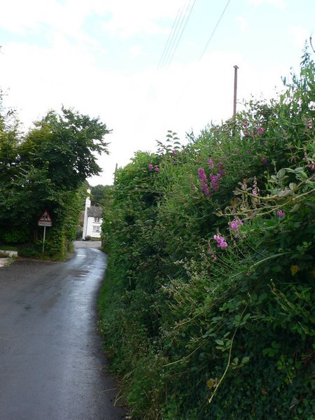 File:Road into Trusham - geograph.org.uk - 879089.jpg