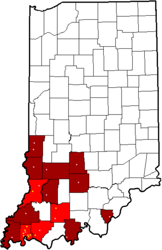 <span class="mw-page-title-main">Southern Indiana Athletic Conference</span>