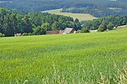 Čeština: Samota východně od obce, Střemeníčko, Luká, okres Olomouc