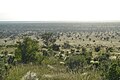 Savanna towards the south from a hill south of Taita Hills Game Lodge within the Taita Hills Wildlife Sanctuary in Kenya.jpg