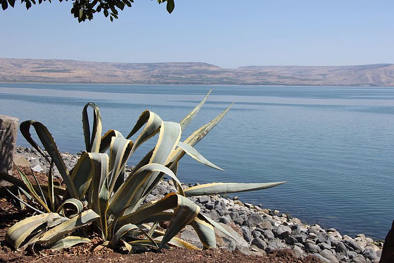 File:Sea of Galilee from Capernaum (34552508191).jpg