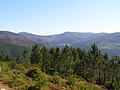 Miniatura para Sierra de Lousã