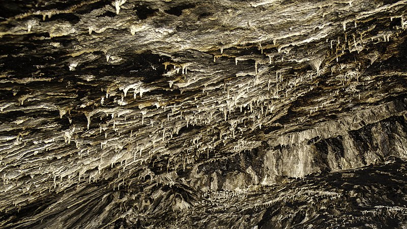 File:Shanidar Cave - stalactites.jpg