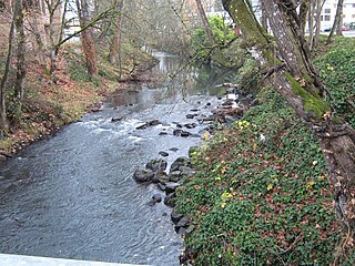 Shelton Ditch (Oregon) canal in Oregon, United States of America