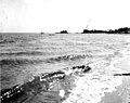 Shoreline leading to the oyster house- Baycroft, Eastpoint, Florida (3266993345).jpg