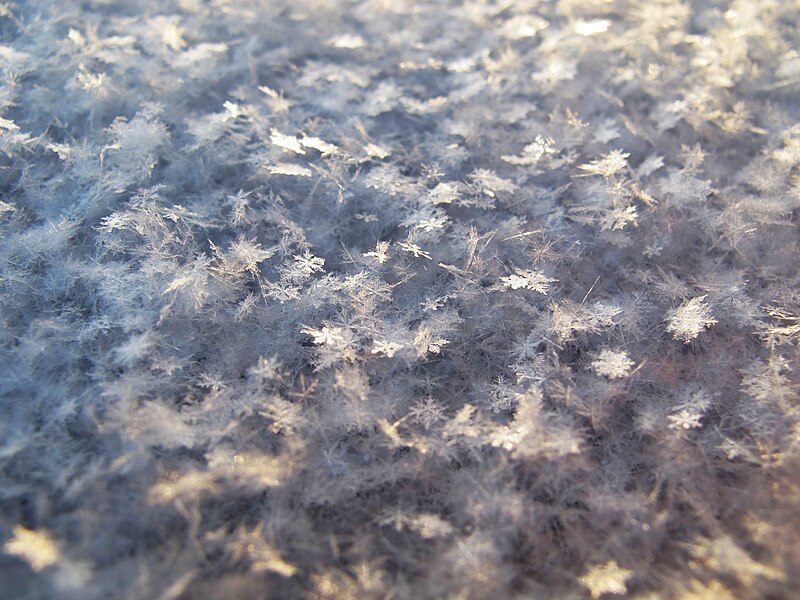 File:Snowflakes (Unsplash).jpg