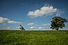 Snugburys Straw Statue, Nantwich (geografisch 5078885) .jpg