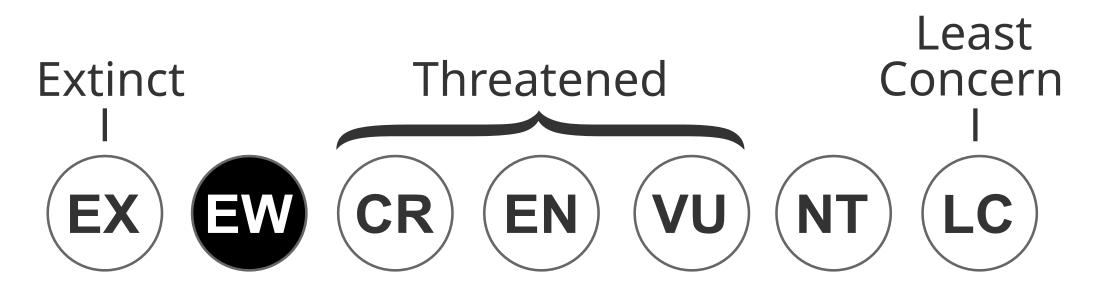 File:Status iucn3.1 EW.svg