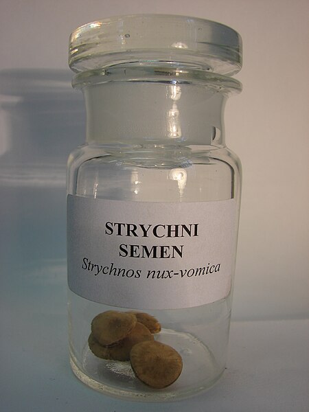 File:Strychni semen2.JPG