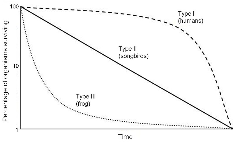 File:Survivorship Curves.jpg