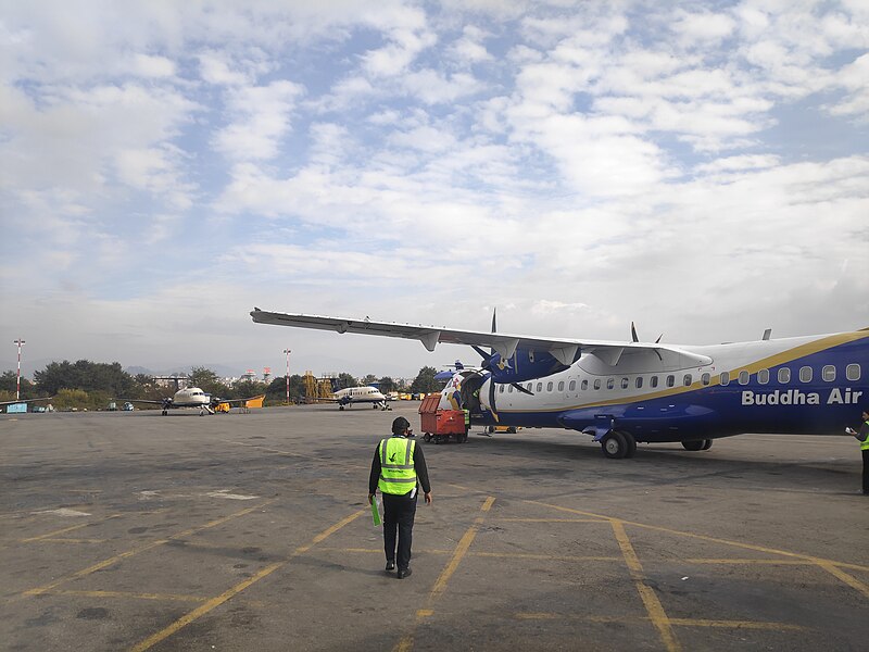 File:TIA Domestic Terminal.jpg