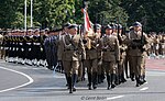 Vignette pour Jour des forces armées (Pologne)