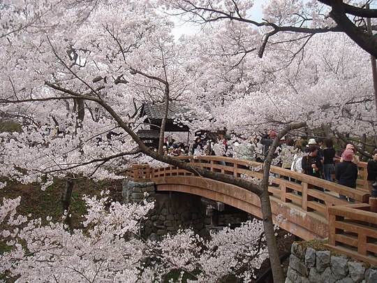 Координаты сакуры. Префектура Нагано. Нагано город в Японии. Япония реки Префектура. Весенний пейзаж в парке руин Пекин.