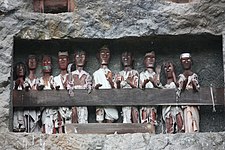 Toraja stone-carved burial site. Tau tau (wooden statue of the deceased) were put in the cave, looking out over the land, from South Sulawesi