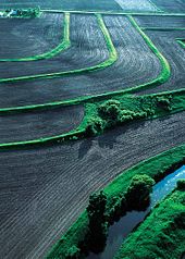 Terraces, conservation tillage and conservation buffers reduce soil erosion and water pollution on this farm in Iowa. TerracesBuffers.JPG