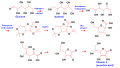 The industrial synthesis of ascorbic acid from glucose.svg