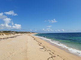 Tims Thicket Beach, February 2020 01.jpg