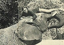 Hedren in picture. During the filming of Roar, she had her ankle fractured by Tembo, an African elephant, when he used his trunk to pick her up. She contracted gangrene from the incident. Photograph from 1977