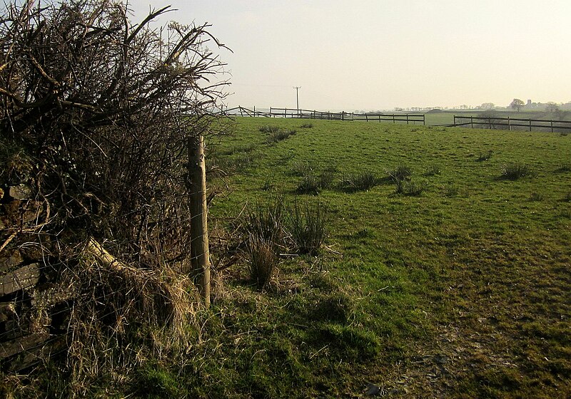 File:Towards North Petherwin - geograph.org.uk - 4568370.jpg