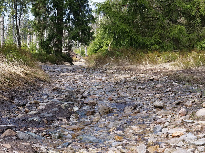 File:Trail near Rotenbeek 02.jpg