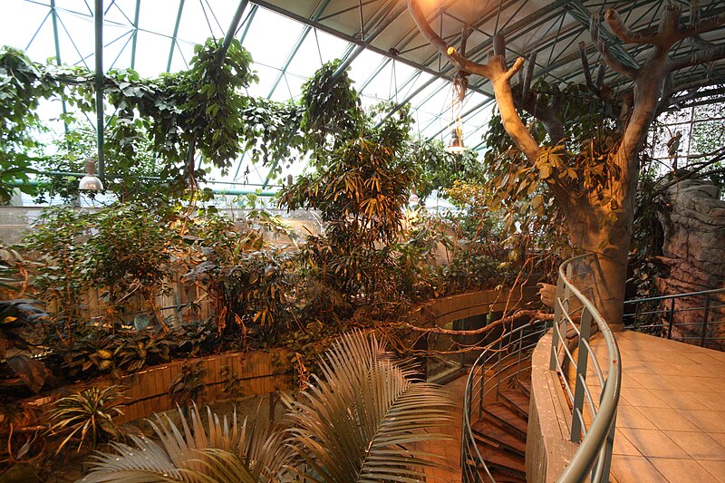 File:Tropical pavillon in Liberec ZOO in Liberec, Liberec District.jpg