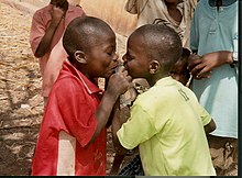 Two children sharing a water sachet in Koundara, Guinea Two children drinking sachet water.jpg