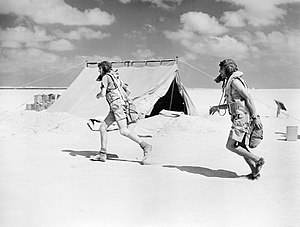 Two pilots of No. 274 Squadron sprinting to their aircraft during a practice scramble at El Amriya, Egypt, October 1940. CM130.jpg