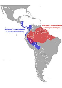 Two toed sloth range species.jpg