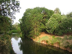 UC Davis arboretum - general view.jpg